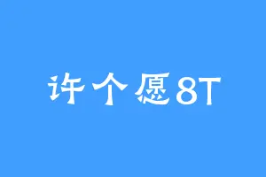 许个愿8T