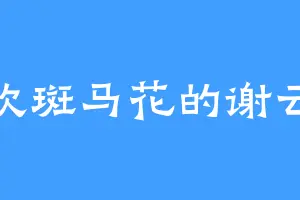 喜欢斑马花的谢云斌
