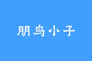 朋鸟小子