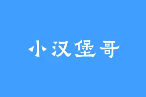 小汉堡哥
