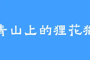 青山上的狸花猫