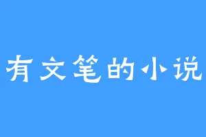 没有文笔的小说家
