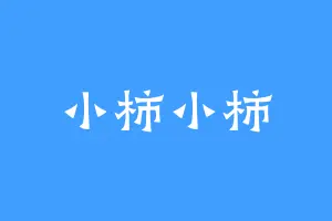小柿小柿