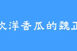 喜欢洋香瓜的魏正涛