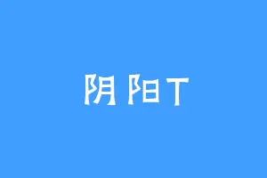 阴阳T