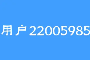 用户22005985