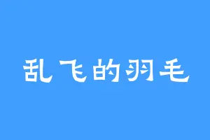 乱飞的羽毛