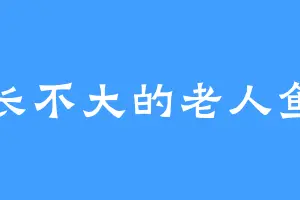 长不大的老人鱼