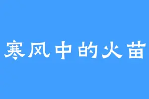 寒风中的火苗