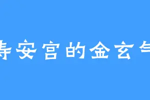 寿安宫的金玄气