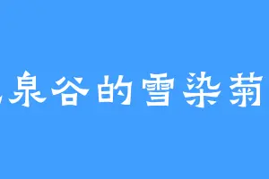 龙泉谷的雪染菊理