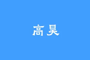 高昊