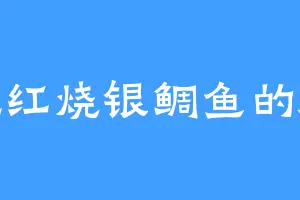 爱吃红烧银鲷鱼的麻仔