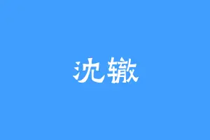 沈辙