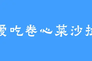 爱吃卷心菜沙拉