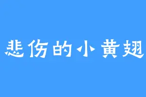 悲伤的小黄翅