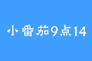 小番茄9点14