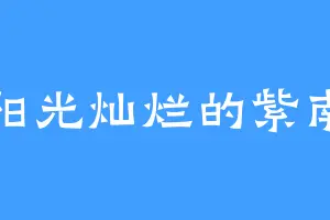阳光灿烂的紫南