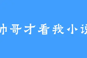 帅哥才看我小说
