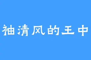 两袖清风的王中天