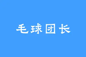 毛球团长