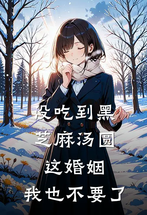 没吃到黑芝麻汤圆，这婚姻，我也不要了(楚海宁楚辰)全文在线阅读_(没吃到黑芝麻汤圆，这婚姻，我也不要了)精彩小说