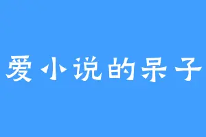 爱小说的呆子