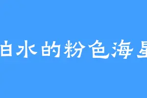 怕水的粉色海星
