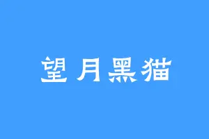 望月黑猫