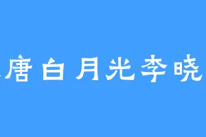 大唐白月光李晓晓