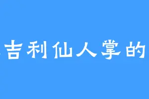 爱吃吉利仙人掌的王琰