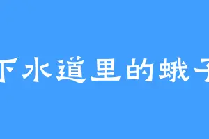 下水道里的蛾子