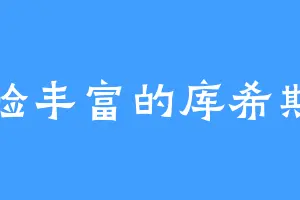 经验丰富的库希斯利