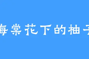 海棠花下的柚子