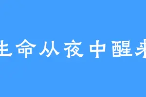 生命从夜中醒来