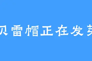 贝雷帽正在发芽