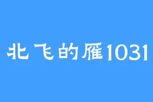 北飞的雁1031