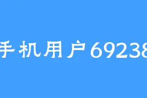 手机用户69238