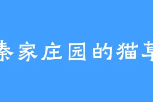 秦家庄园的猫草