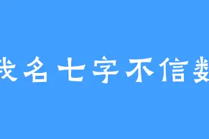 我名七字不信数