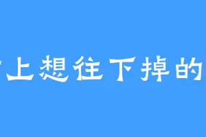 在树上想往下掉的树叶