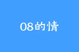 08的情