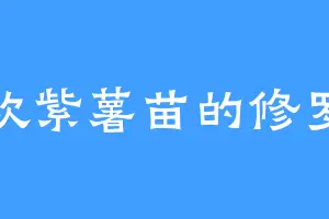 喜欢紫薯苗的修罗子