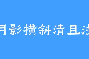月影横斜清且浅