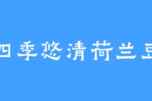 四季悠清荷兰豆