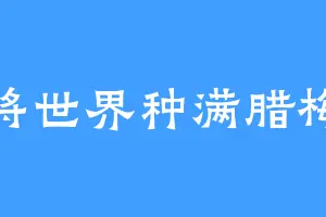 将世界种满腊梅