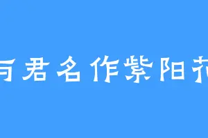 与君名作紫阳花