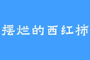 摆烂的西红柿