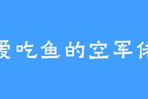 爱吃鱼的空军佬