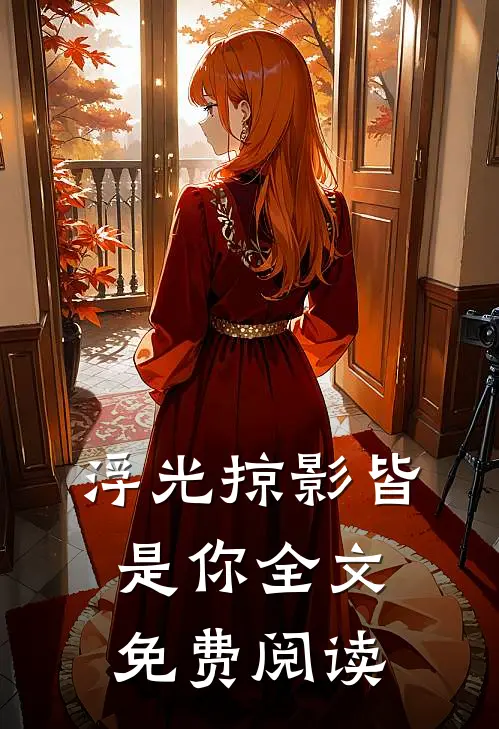 浮光掠影皆是你全文免费阅读